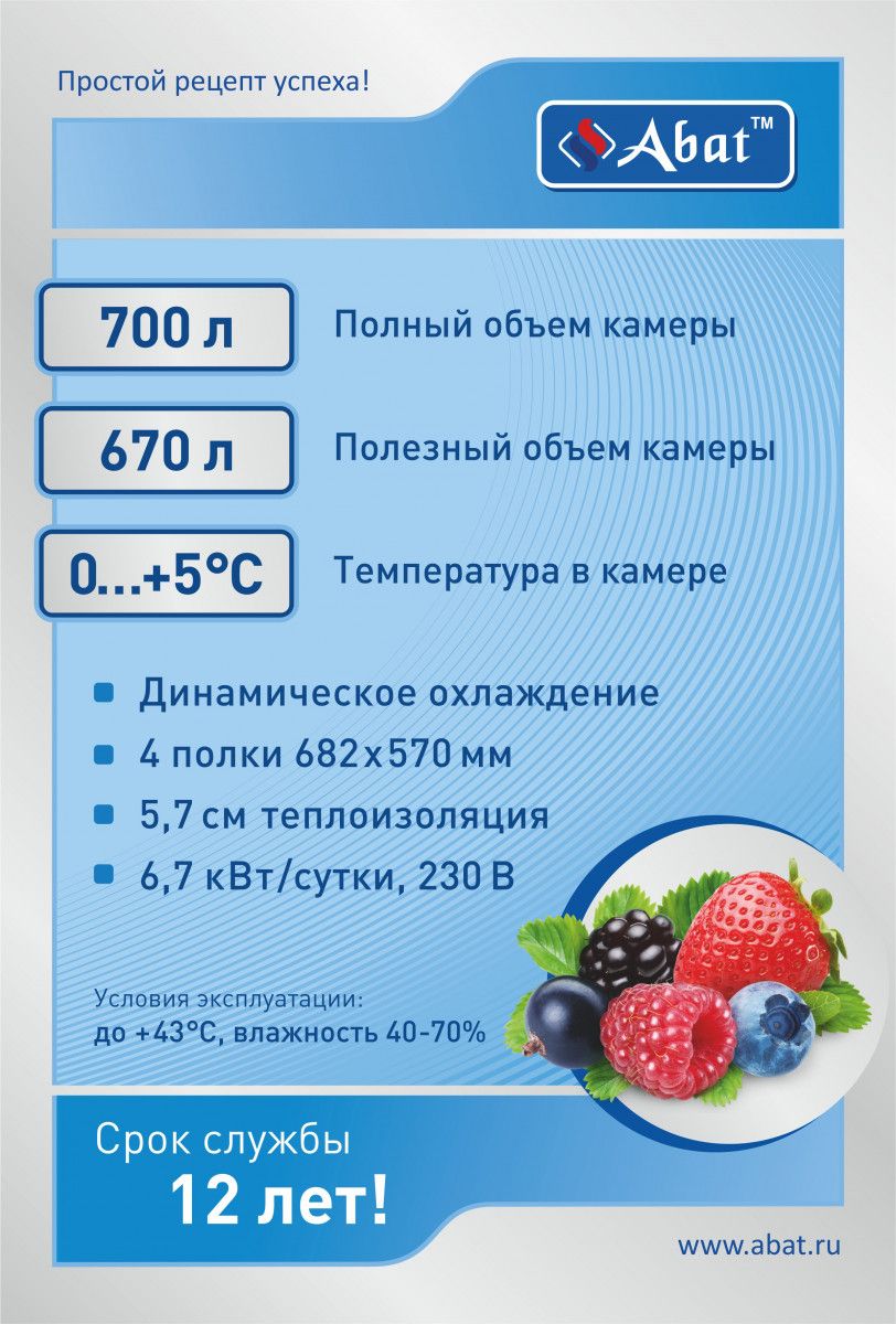 Шкаф холодильный среднетемпературный ШХс-0,7-03 нерж. 